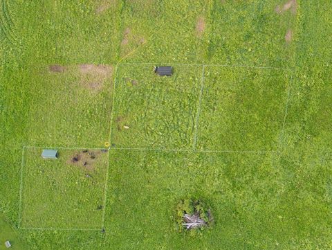 Overhead drone view of the KuneKune grazing paddocks at Dropstone Farm in Ghent, NY: poly wire squares, two pig shelters, pigs on pasture, and earlier paddocks regrowing